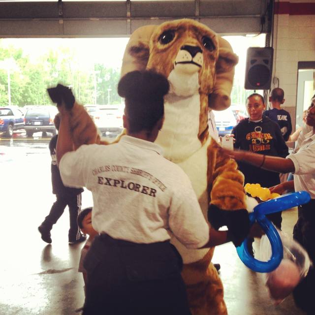 964698_10151970055854418_550017172_o